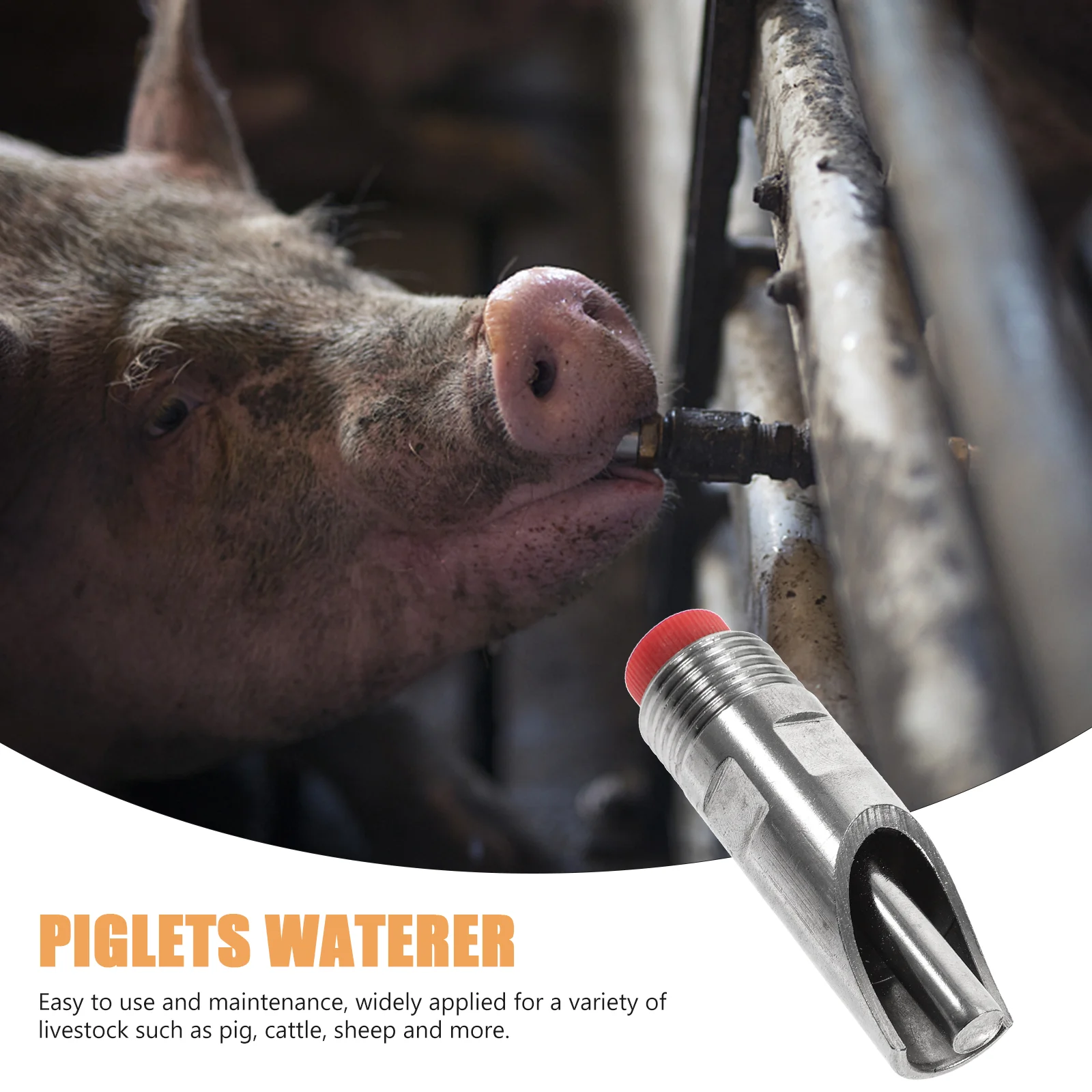 10 Pcs Waterer Piglets Feeder Drinking Tools Trough Metal Stainless Steel Livestock
10 Pcs Waterer Piglets Feeder Drinking Tools Trough Metal Stainless Steel Livestock