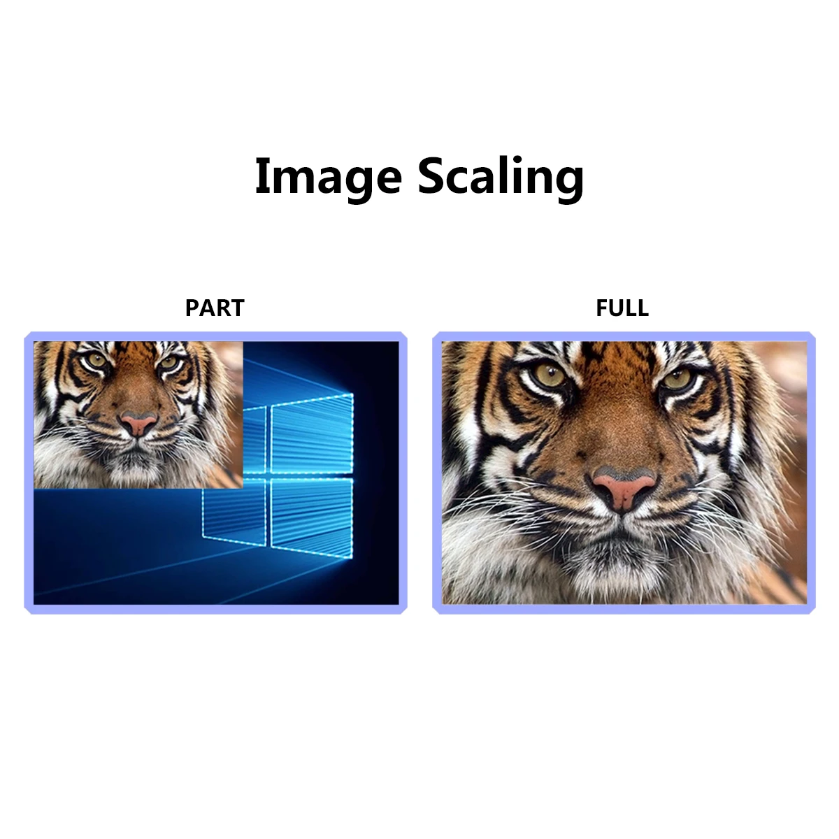 Led Display Use Video Screen Processor MVP300 Led Processor Support Sync Control System Linsn for Outdoor Led Sign Board 
Led Display Use Video Screen Processor MVP300 Led Processor Support Sync Control System Linsn for Outdoor Led Sign Board