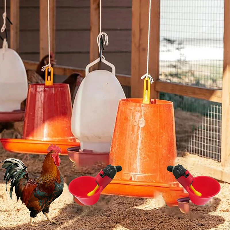 Red Automatic Chicken Drinking Cup With Nipple Hen Water Bowl Durable Automatic Water Bowl Farm Poultry Feeder Poultry Accessory
Red Automatic Chicken Drinking Cup With Nipple Hen Water Bowl Durable Automatic Water Bowl Farm Poultry Feeder Poultry Accessory