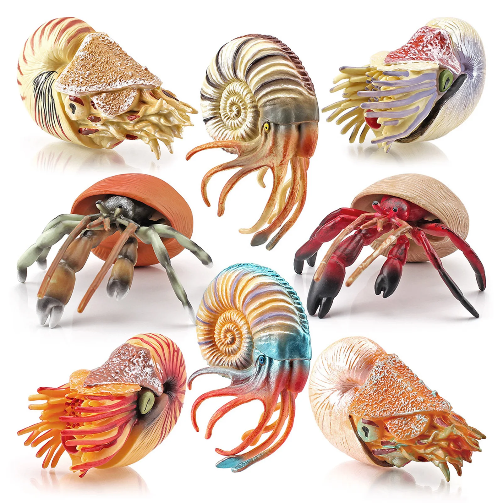 Simulated Sea Animal Figures Ocean Creatures Toys Hermit Crab And Nautilus Toys 8pcs Ocean Creature Educational Props Realistic
Simulated Sea Animal Figures Ocean Creatures Toys Hermit Crab And Nautilus Toys 8pcs Ocean Creature Educational Props Realistic