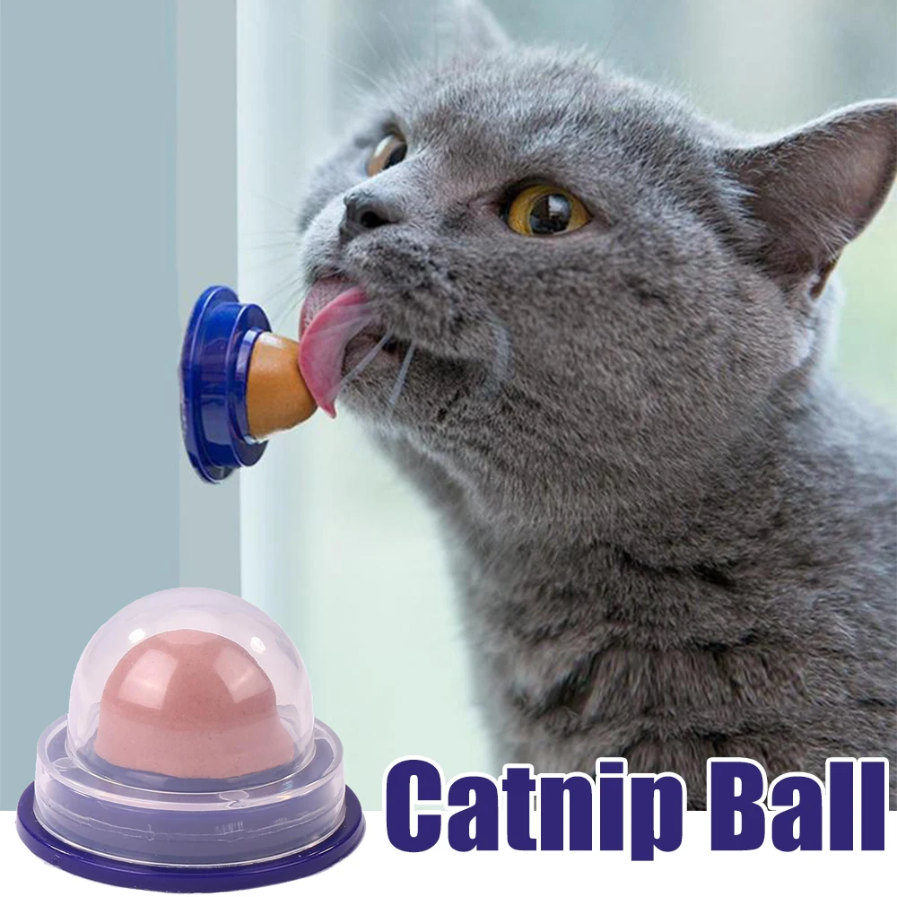 1PC Healthy Cat Snacks Catnip Sugar Candy Licking Nutrition Gel Energy Ball Toy for Cats Kittens Cat Product
1PC Healthy Cat Snacks Catnip Sugar Candy Licking Nutrition Gel Energy Ball Toy for Cats Kittens Cat Product
