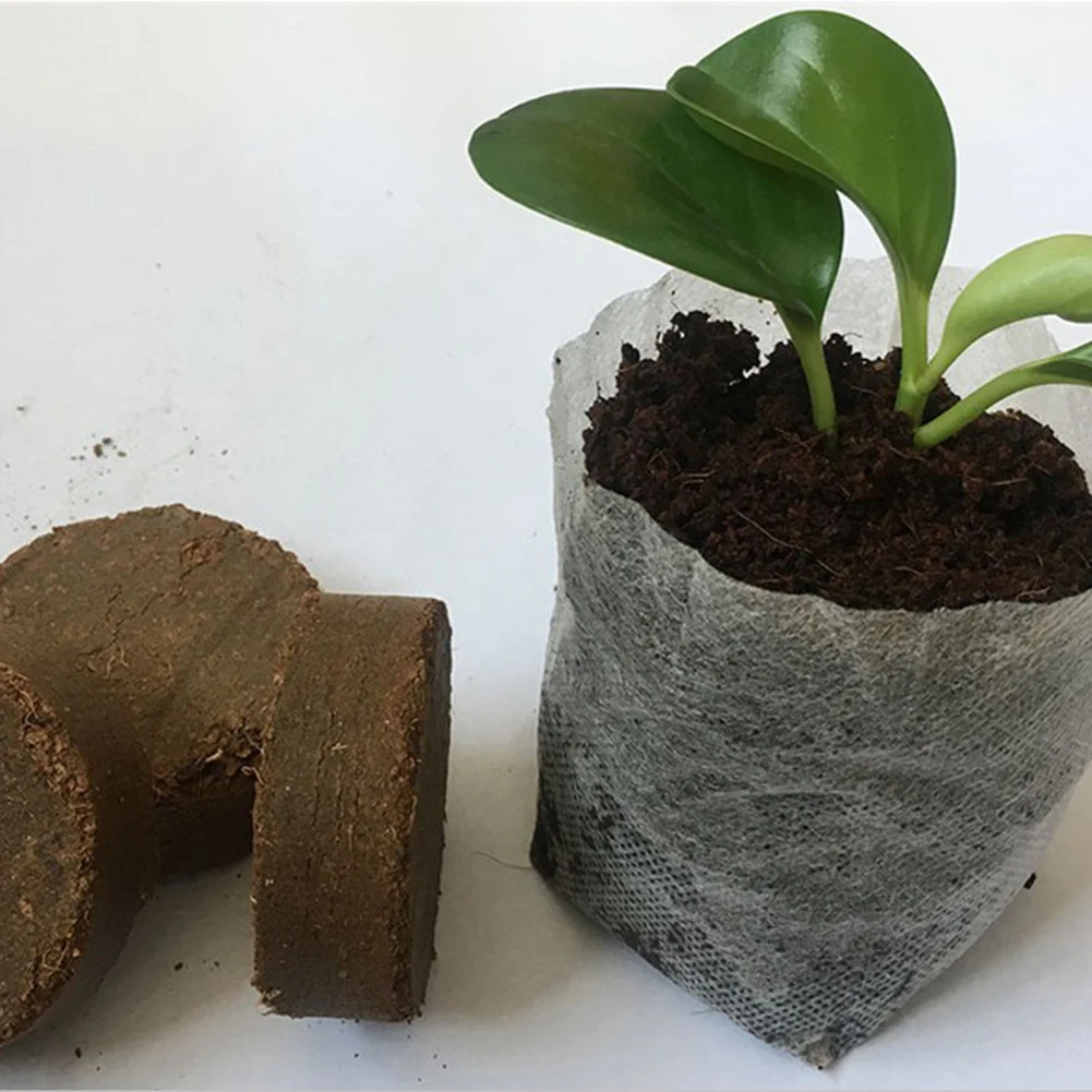 10 шт., плантаторы для выращивания цветов
10 шт., плантаторы для выращивания цветов