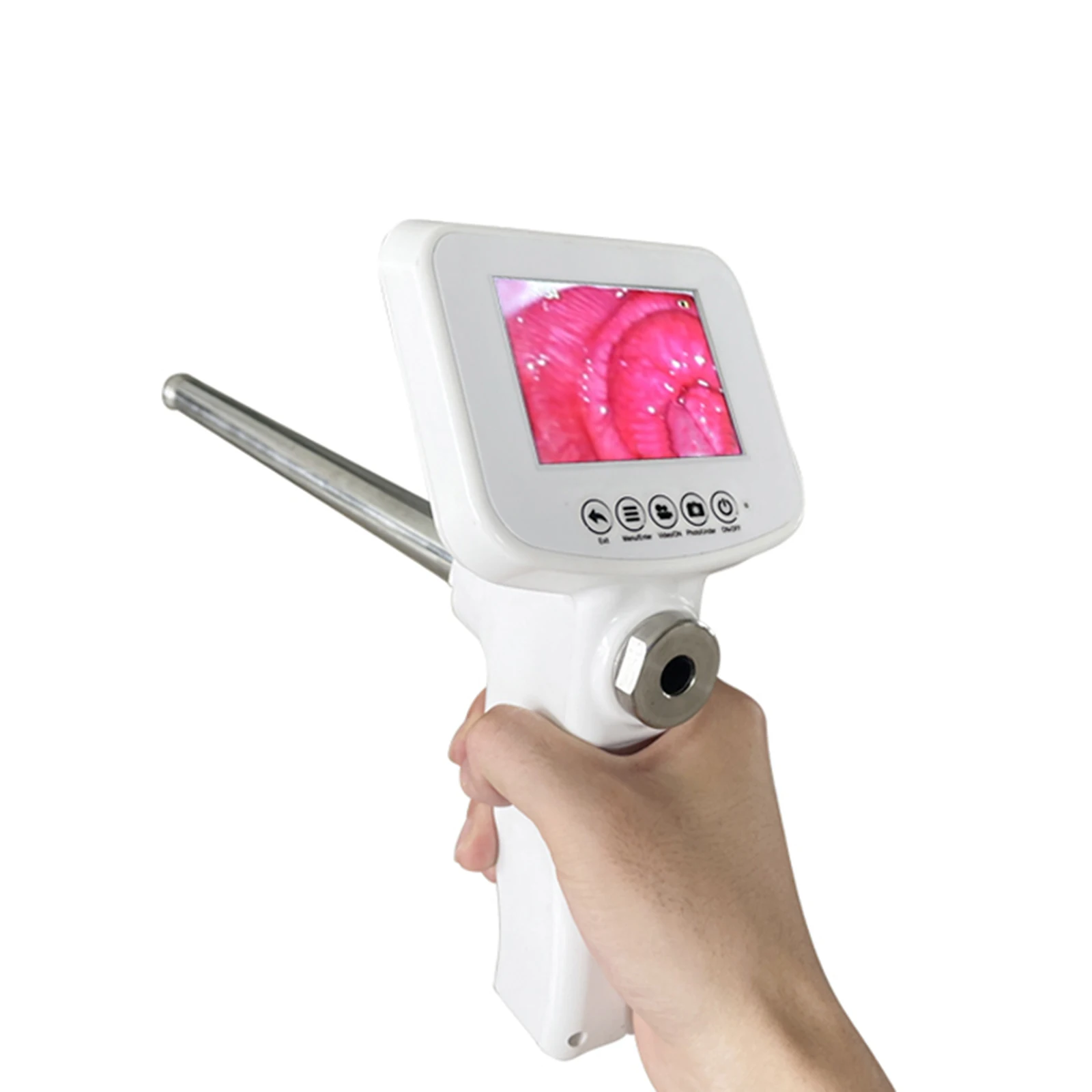 Визуальный эндоскоп для коров, ИИ-пистолет для спермы, устройство для искусственного осеменения свиней и овец, инструменты для ветеринарного разведения коров, лошадей
Визуальный эндоскоп для коров, ИИ-пистолет для спермы, устройство для искусственного осеменения свиней и овец, инструменты для ветеринарного разведения коров, лошадей