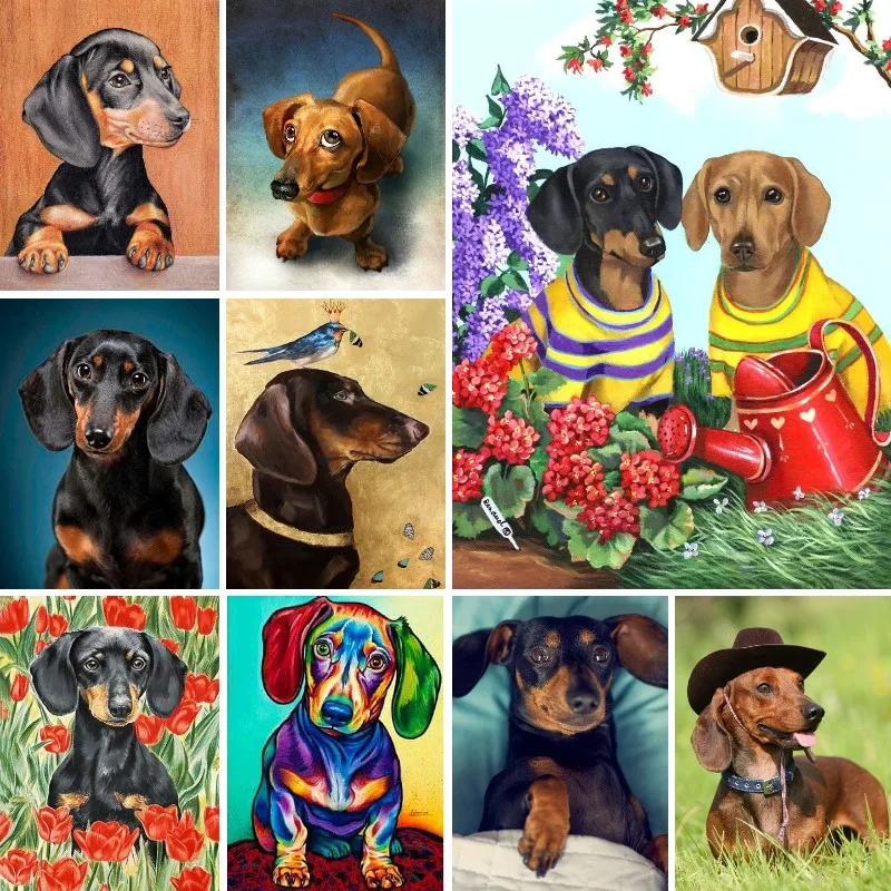 DIY Dachshund Dog Diamond Painting Wiener Puppy Diamond Embroidery Kit Mosaic Cross Stitch Kits Diamond Puzzle Art Home Decor
DIY Dachshund Dog Diamond Painting Wiener Puppy Diamond Embroidery Kit Mosaic Cross Stitch Kits Diamond Puzzle Art Home Decor
