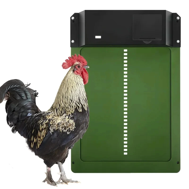 Automatic Chicken Coop Door Light Sensor Upgrade Chicken House Door Opener Practical Farm Pets Duck Cage Chicken Door
Automatic Chicken Coop Door Light Sensor Upgrade Chicken House Door Opener Practical Farm Pets Duck Cage Chicken Door