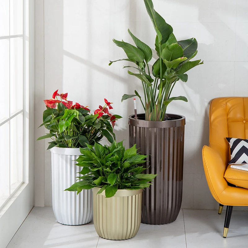 Luxury Gold Large Flower Pot Automatic Watering Hydroponics Succulents Nordic Style Minimalist Decor Macetero Flower Pot EH50FP
Luxury Gold Large Flower Pot Automatic Watering Hydroponics Succulents Nordic Style Minimalist Decor Macetero Flower Pot EH50FP