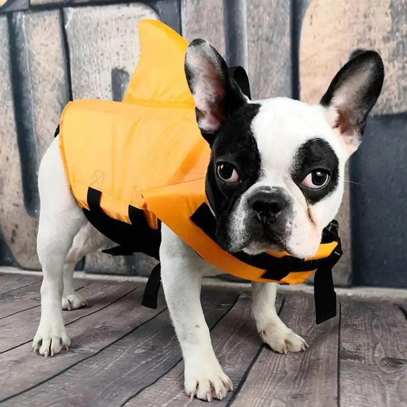 Summer Dog Life Vest Shark Pet Life Vest Jacket Dog Clothes Dog Safety Swimwear Safety Swimming Suit For Small Medium Large Dog
Summer Dog Life Vest Shark Pet Life Vest Jacket Dog Clothes Dog Safety Swimwear Safety Swimming Suit For Small Medium Large Dog