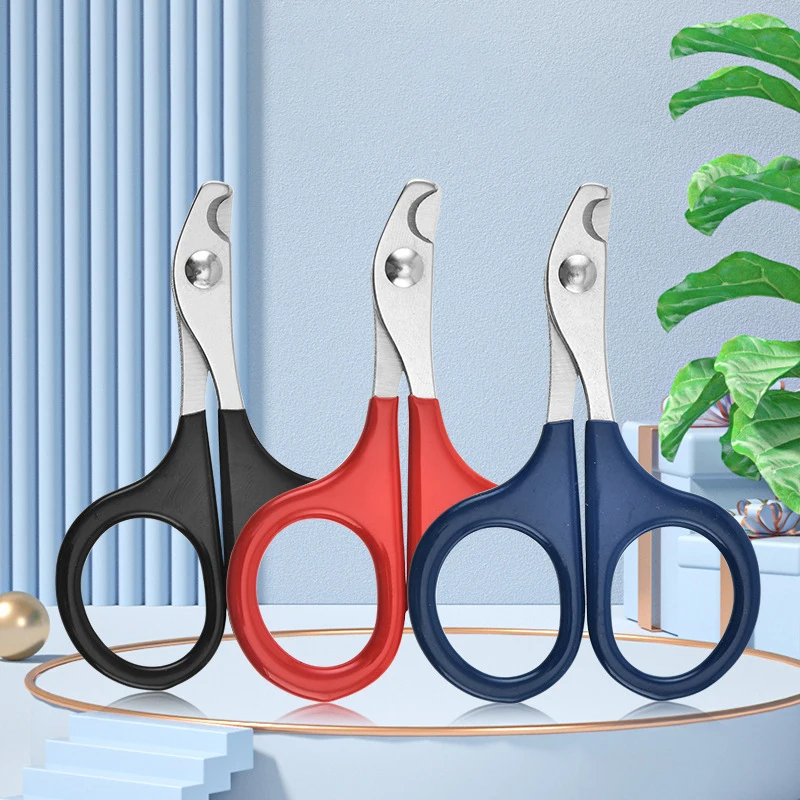 For Size Small Cat Pet Guinea Nail Trimmers Stainless Grooming Pig Clipper Dog Claw Scissors Rabbit Steel Shipping Drop Bird
For Size Small Cat Pet Guinea Nail Trimmers Stainless Grooming Pig Clipper Dog Claw Scissors Rabbit Steel Shipping Drop Bird