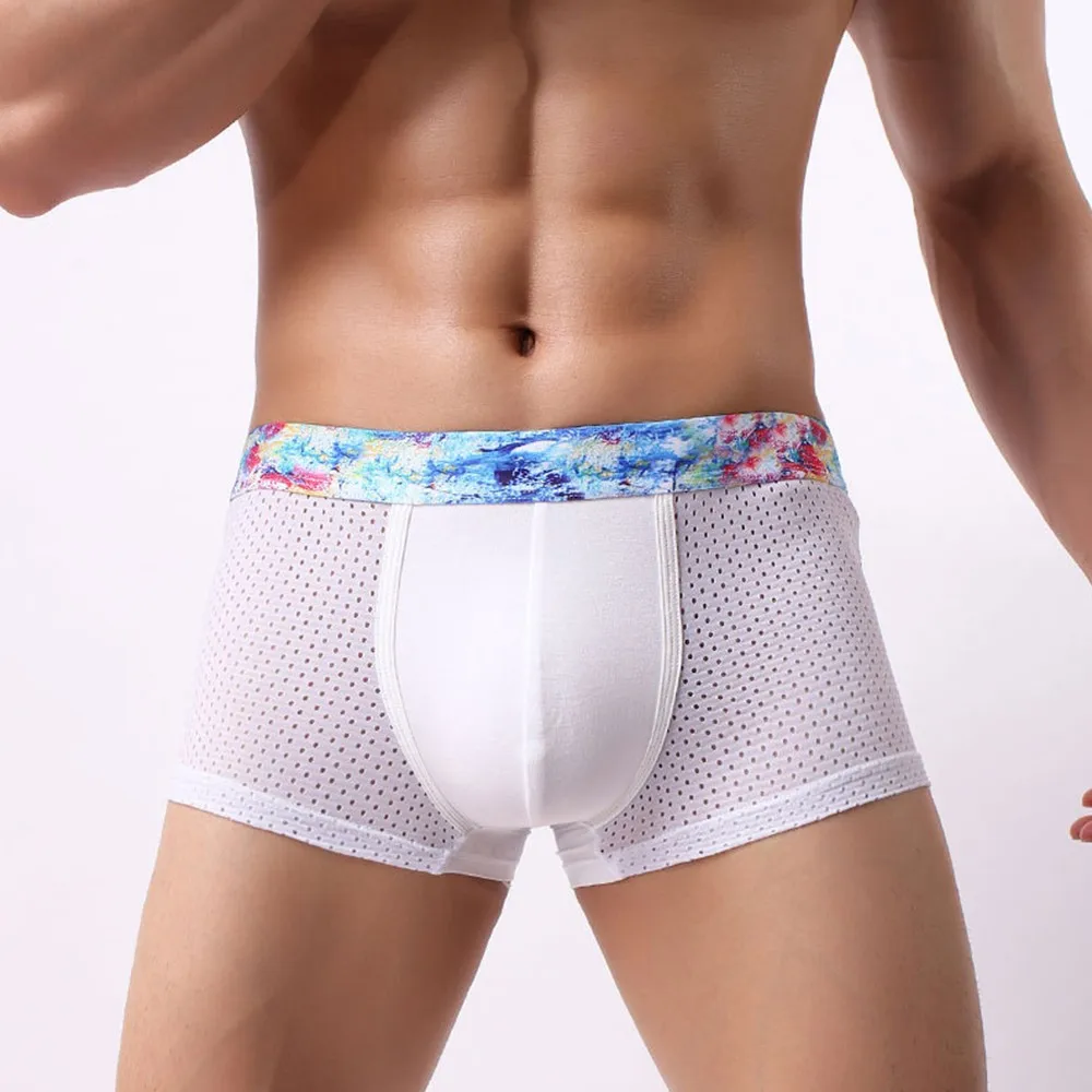 Underwear Boxer Briefs Sleepwear Swimwear Underpants Sports Breathable Comfort Gays Knickers Lingerie Low Waist
Underwear Boxer Briefs Sleepwear Swimwear Underpants Sports Breathable Comfort Gays Knickers Lingerie Low Waist