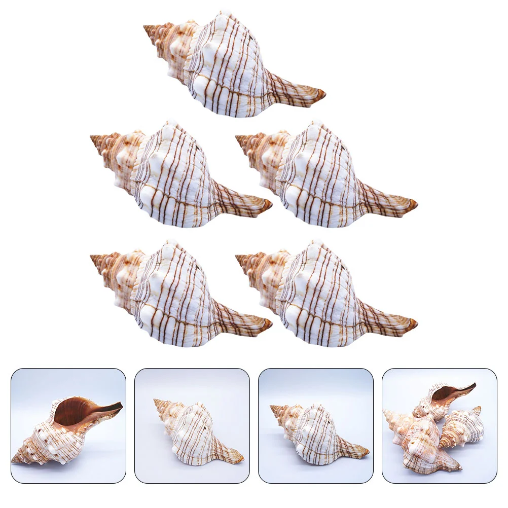 5pcs Natural Wear-resistant Aquarium Conch Decor Creative Shell Decor for Household Decor Microlandscape Ornament
5pcs Natural Wear-resistant Aquarium Conch Decor Creative Shell Decor for Household Decor Microlandscape Ornament
