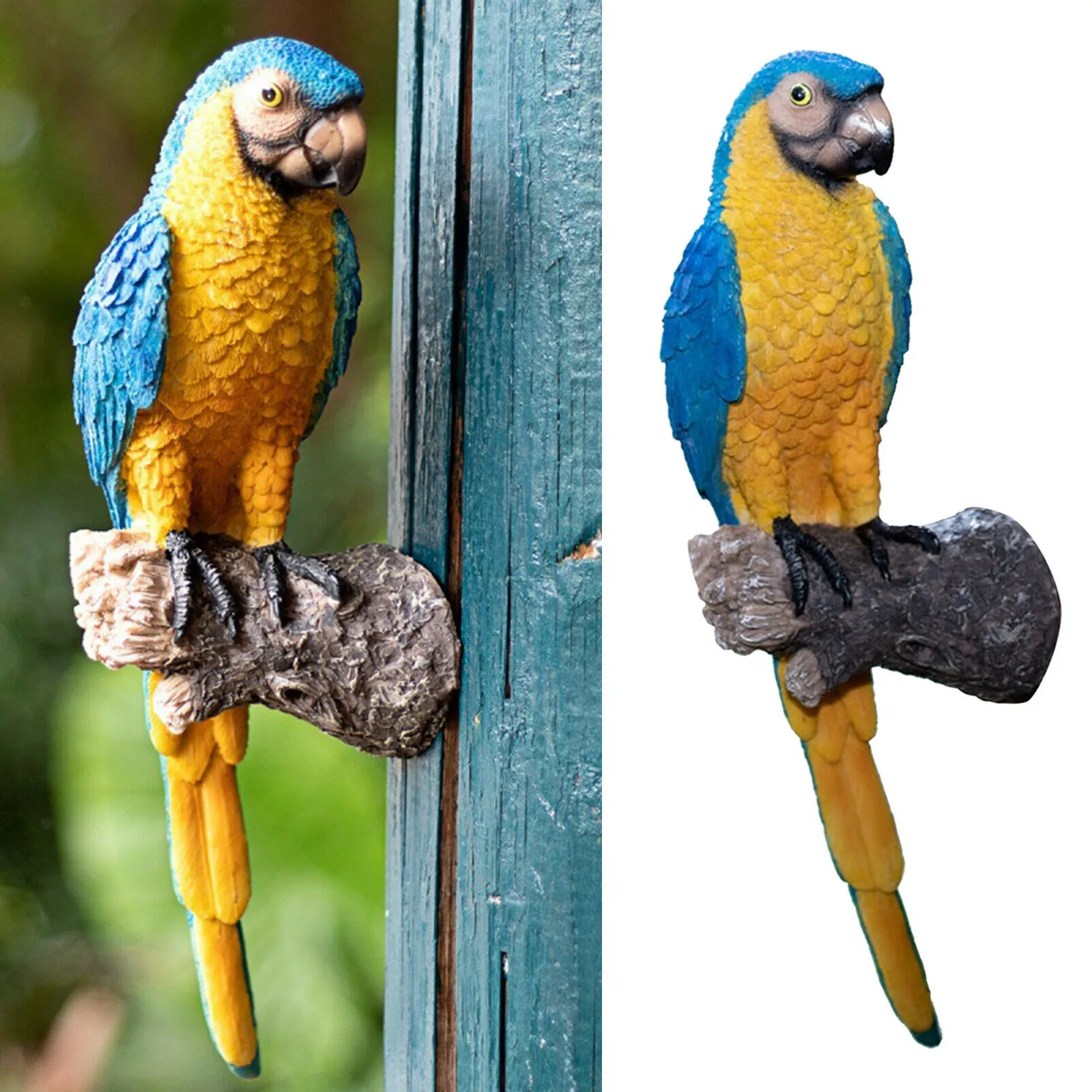 Light up Moon Lifelike Garden Yard -d Outdoor Statue Parrot Macaws Resin Decor Ornament Patio Lawn & Plastic Popsicle Sticks
Light up Moon Lifelike Garden Yard -d Outdoor Statue Parrot Macaws Resin Decor Ornament Patio Lawn & Plastic Popsicle Sticks