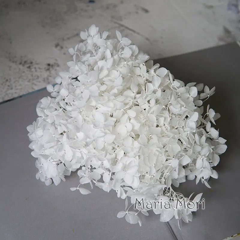 Консервированные цветы гортензии Анна для декора
Консервированные цветы гортензии Анна для декора