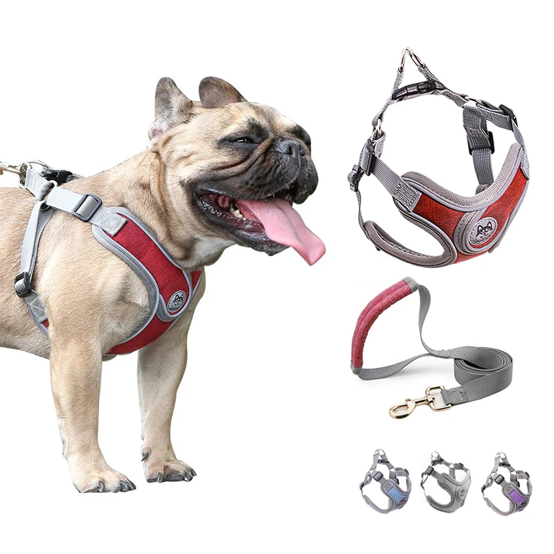 New Pet Dog Harness And Leash Set Reflective Adjustable Vest Walking Leash Soft Breathable For Small Medium Dogs Accessories
New Pet Dog Harness And Leash Set Reflective Adjustable Vest Walking Leash Soft Breathable For Small Medium Dogs Accessories