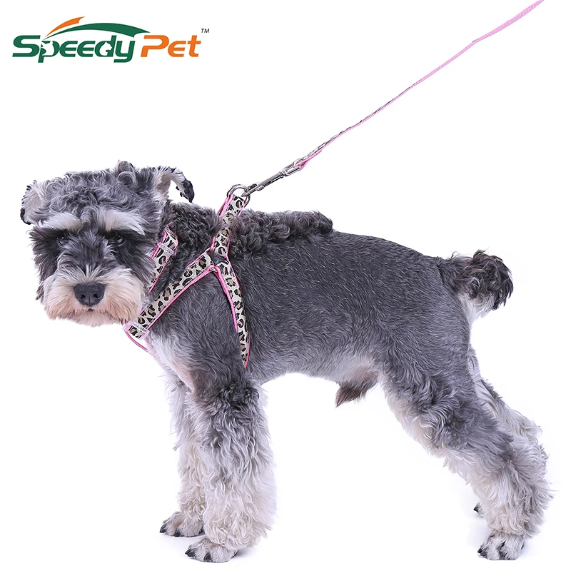 Cheap Wholesale!!Pet Products Dog Collar Lead Set Leopard Adjustable Dog Leash Puppy Harness Durable Dog Accessories Cat Collar
Cheap Wholesale!!Pet Products Dog Collar Lead Set Leopard Adjustable Dog Leash Puppy Harness Durable Dog Accessories Cat Collar