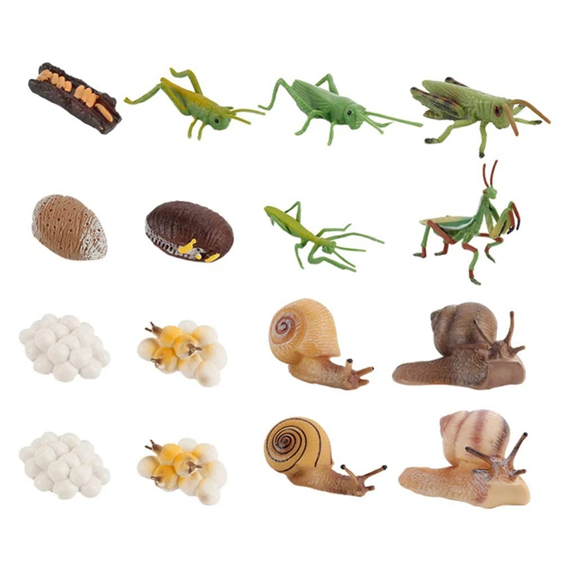 16PCS Snails & Mantis Growth Cycle Model Life Learning Cognitive Toys Animal Growth Model Simulated Animals Model
16PCS Snails & Mantis Growth Cycle Model Life Learning Cognitive Toys Animal Growth Model Simulated Animals Model