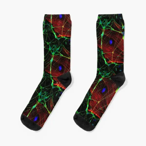 Synapses круглые носки с забавным рисунком удобные Мультяшные спортивные Симпатичные хлопковые дышащие унисекс лучшие зимние короткие осенни...
Synapses круглые носки с забавным рисунком удобные Мультяшные спортивные Симпатичные хлопковые дышащие унисекс лучшие зимние короткие осенни...