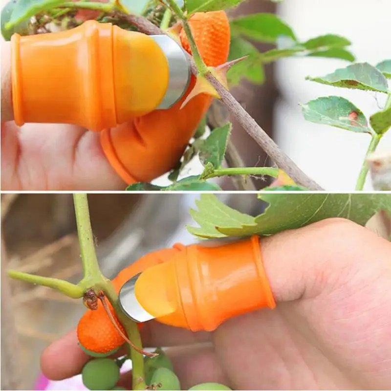 

Silicone Thumb Cutter Set Harvesting Plant Picking Tool Vegetable And Fruit Gardening Tools Farm Vegetable Fruit Picking Tools