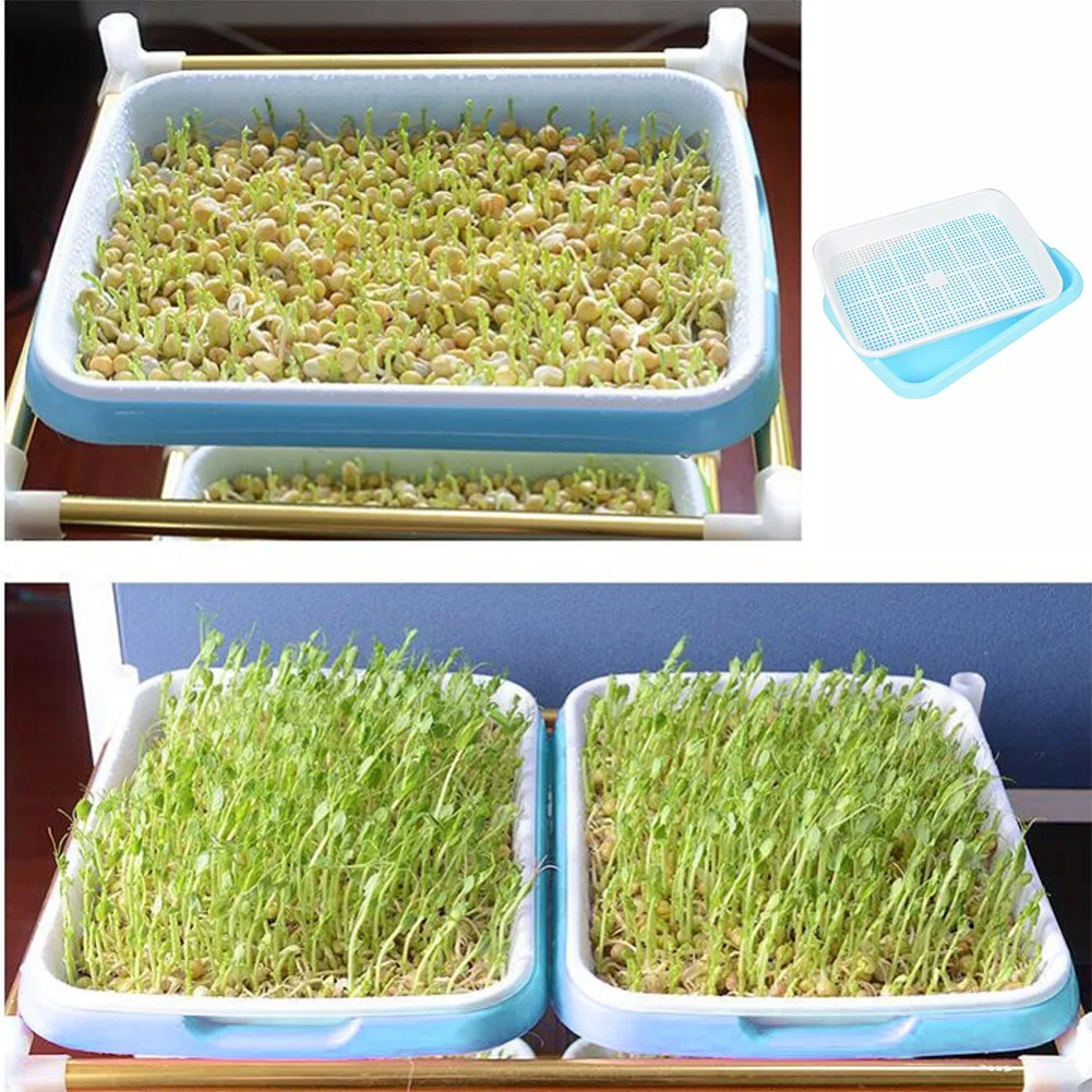 Seed Bean Sprout Germination Plate Household Soilless Culture Water Cultivation Seedling Pot Yard Garden Wheat Seedling Planting
Seed Bean Sprout Germination Plate Household Soilless Culture Water Cultivation Seedling Pot Yard Garden Wheat Seedling Planting