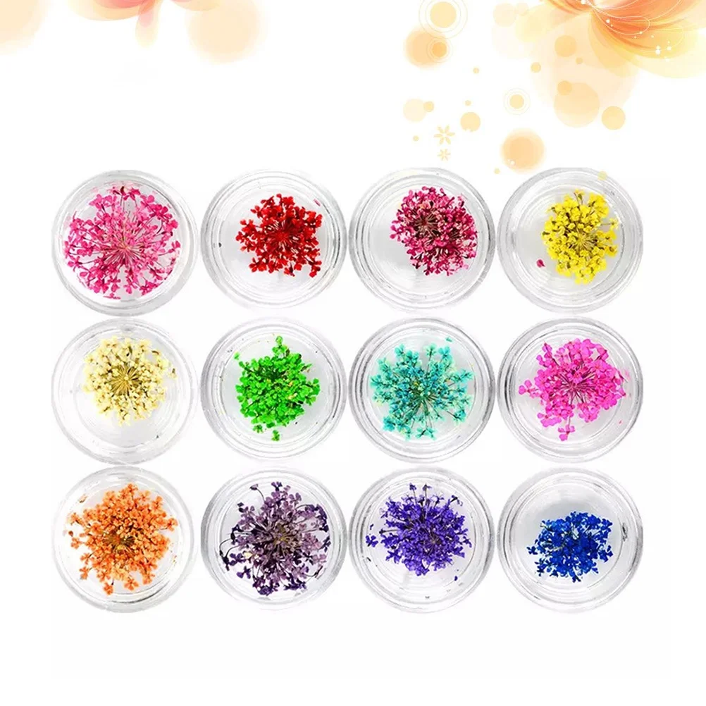 12 Boxes Nail Dried Flower Beautiful Applique Decals Nail Sticker Accessories Supplies for Ladies
12 Boxes Nail Dried Flower Beautiful Applique Decals Nail Sticker Accessories Supplies for Ladies