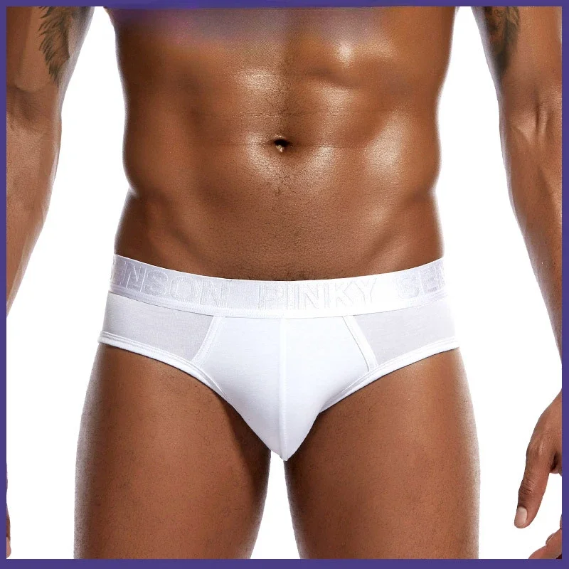 

Modal Briefs Men Sexy Underwear Bulge Pouch Underpants Breathable Low-rise Panties Male U Convex Pouch Knickers Solid Lingerie