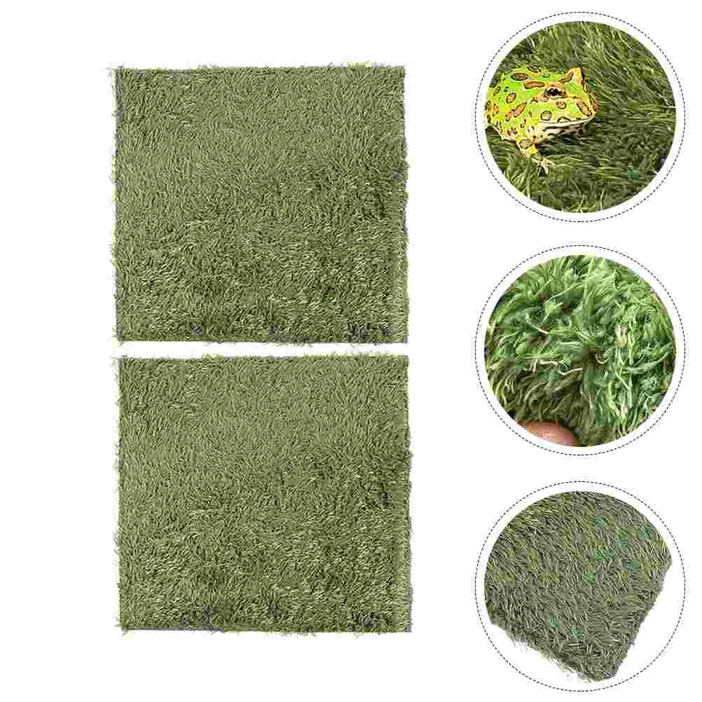 Reptile Grass Artificial Carpet Bed Tile Terrarium Moss Mat Climbing Miniature Turf Rug Square Liner Synthetic
Reptile Grass Artificial Carpet Bed Tile Terrarium Moss Mat Climbing Miniature Turf Rug Square Liner Synthetic