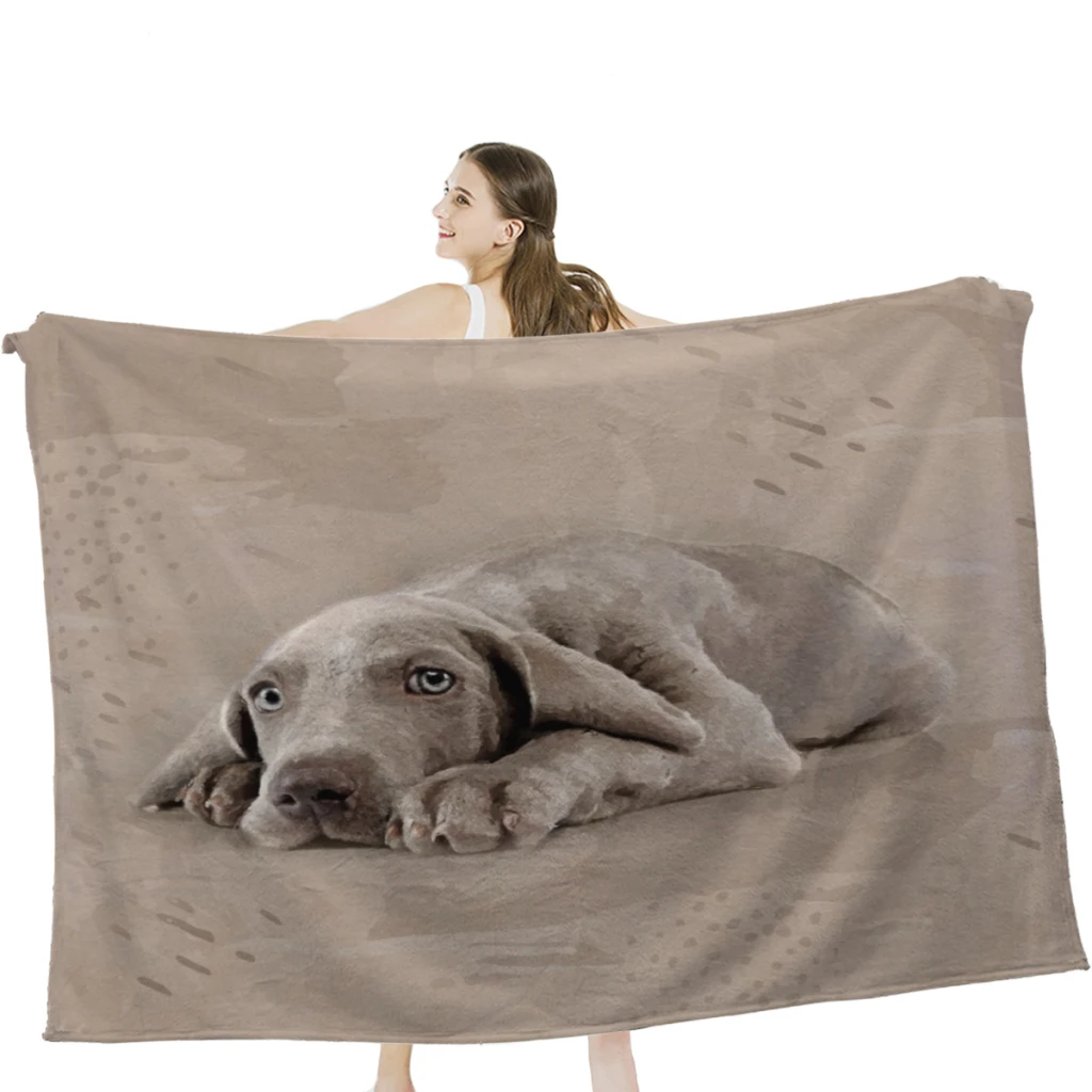 Одеяло weimранер для щенков, мягкое бархатное одеяло, постельное белье для путешествий
Одеяло weimранер для щенков, мягкое бархатное одеяло, постельное белье для путешествий
