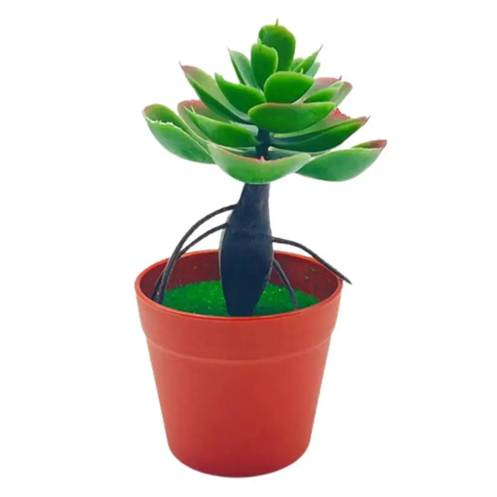 Creative 9 Styles No Watering Vivid Faux Succulent Potted Bonsai Gardening Supplies Faux Bonsai Artificial Bonsai
Creative 9 Styles No Watering Vivid Faux Succulent Potted Bonsai Gardening Supplies Faux Bonsai Artificial Bonsai
