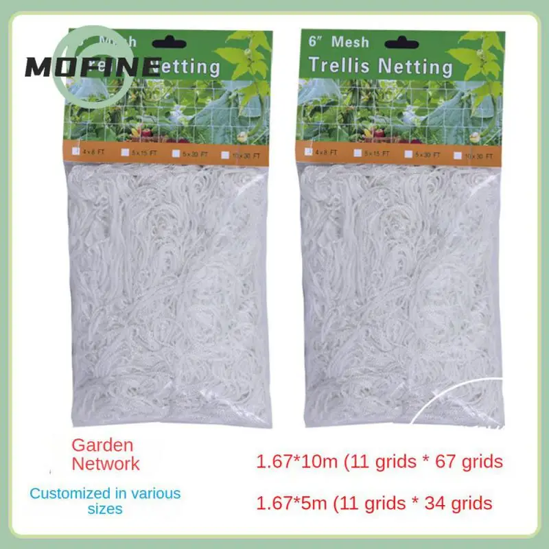 Garden Climbing Vine Net Multi Thread Weaving Good Elasticity Climbing Rattan Net Polyester Fibre Sturdy And Durable 
Garden Climbing Vine Net Multi Thread Weaving Good Elasticity Climbing Rattan Net Polyester Fibre Sturdy And Durable