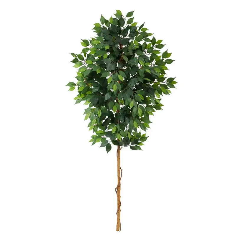 Ficus Artificial Tree (No Pot), Green Bonsai pots Plants Garden supplies Garden pots & planters Garden decoration outdoor Seedli
Ficus Artificial Tree (No Pot), Green Bonsai pots Plants Garden supplies Garden pots & planters Garden decoration outdoor Seedli
