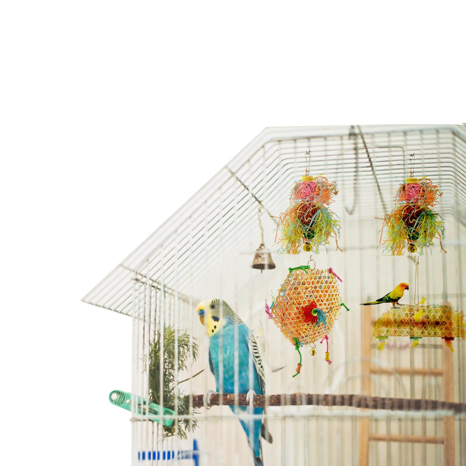 Игрушки для измельчения птиц, жевательные игрушки для птиц, оставайтесь активными, улучшайте настроение, игрушки для измельчения птиц для м...
Игрушки для измельчения птиц, жевательные игрушки для птиц, оставайтесь активными, улучшайте настроение, игрушки для измельчения птиц для м...