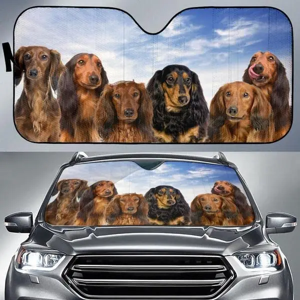 Longhair Dachshund Team Blue Sky Pattern Car Sunshade, Dachshund Auto Sunshade for Car Decor, for Doxie Lover, Car Windshield Au
Longhair Dachshund Team Blue Sky Pattern Car Sunshade, Dachshund Auto Sunshade for Car Decor, for Doxie Lover, Car Windshield Au