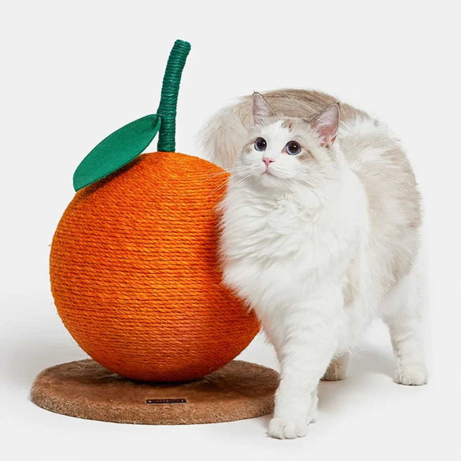 Cute Cat Climbing Frame Scratcher Training Aids Sisal Rope Cats Shelf Furnitures Interactive Toys Gato Accesorio Pet Products
Cute Cat Climbing Frame Scratcher Training Aids Sisal Rope Cats Shelf Furnitures Interactive Toys Gato Accesorio Pet Products