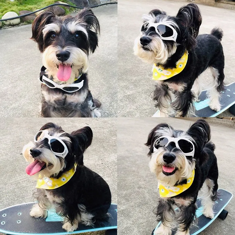 Солнцезащитные очки для собак модные очки для собак ветрозащитные водонепроницаемые для маленьких собак кошек защита глаз аксессуары для ...
Солнцезащитные очки для собак модные очки для собак ветрозащитные водонепроницаемые для маленьких собак кошек защита глаз аксессуары для ...