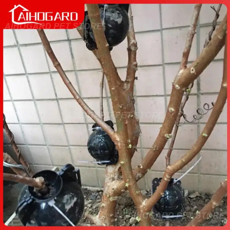 Reusable Trees Grafting Rooting Device Rooting Propagation Ball Large Medium And Small Agricultural Gardening Planting Supplies
Reusable Trees Grafting Rooting Device Rooting Propagation Ball Large Medium And Small Agricultural Gardening Planting Supplies