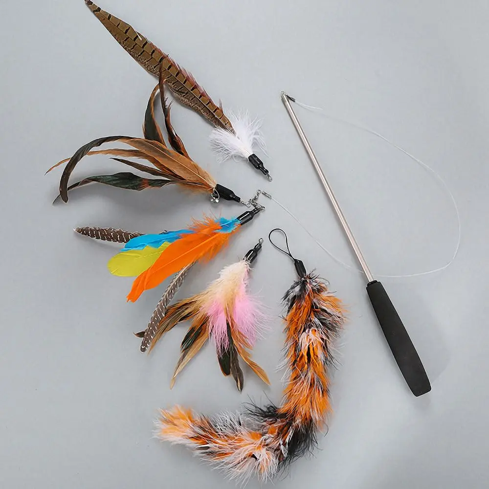 1Set Cat Toy Interactive Three-section Telescopic Teaser Cat Stick with 5 Replacement Heads Feather Pet Kitten Training Supplies
1Set Cat Toy Interactive Three-section Telescopic Teaser Cat Stick with 5 Replacement Heads Feather Pet Kitten Training Supplies