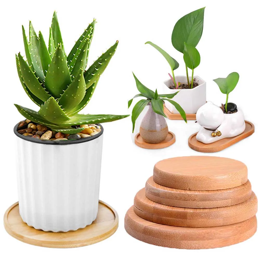 Gardening Supplies Home Decoration Planters Pot Stander Flowerpot Base Round Square Hexagon Rectangle Bamboo Wood Tray
Gardening Supplies Home Decoration Planters Pot Stander Flowerpot Base Round Square Hexagon Rectangle Bamboo Wood Tray