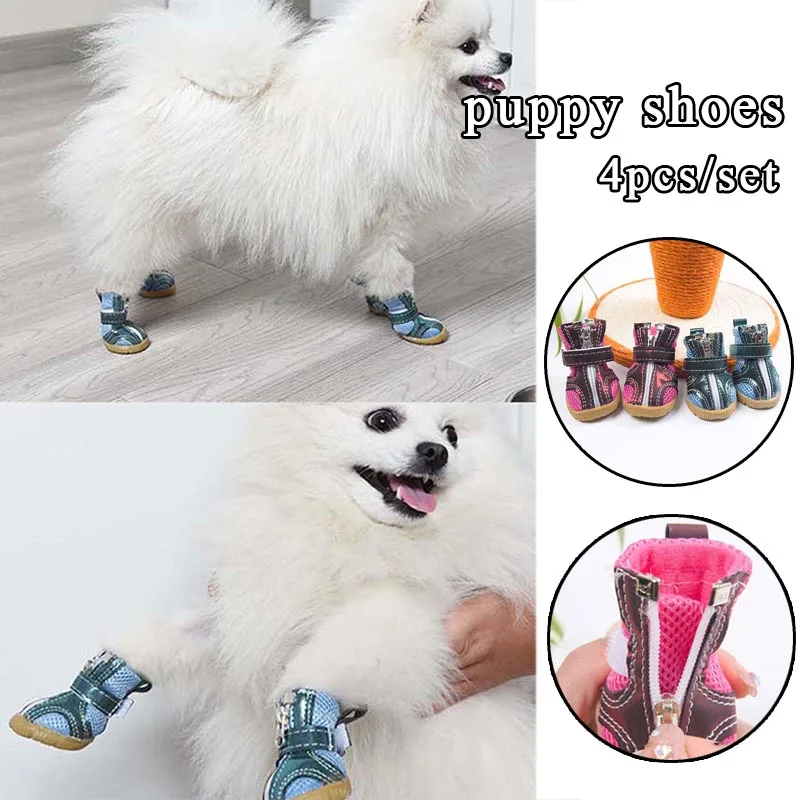 Spring Mesh Dog Shoes Breathable Non-slip Beef Tendon Sole Dogs Booties For Small Dog Outdoor Walking Pet Sneakers with Zippers 
Spring Mesh Dog Shoes Breathable Non-slip Beef Tendon Sole Dogs Booties For Small Dog Outdoor Walking Pet Sneakers with Zippers