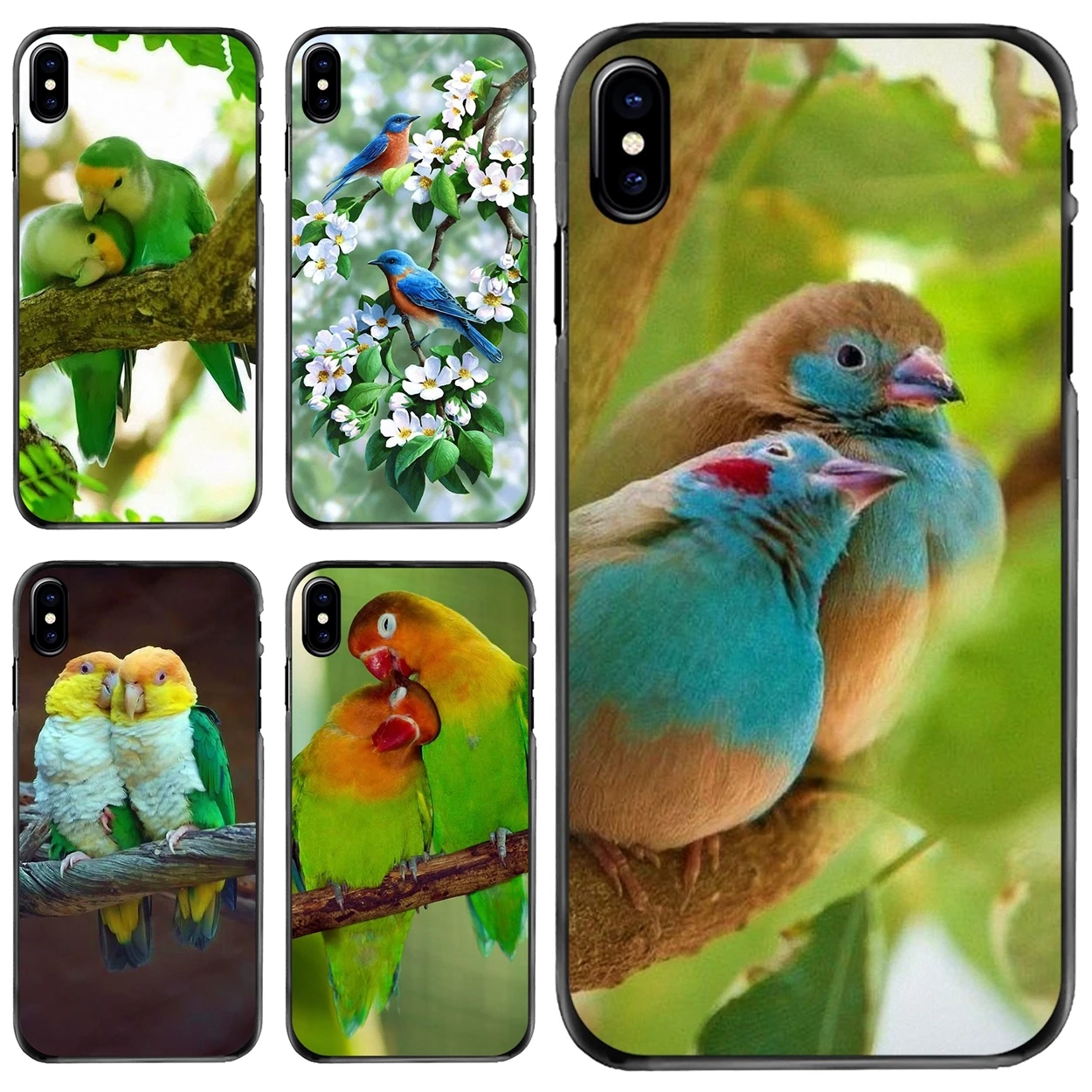 Love Birds Perfect color combo For Apple iPhone 11 12 13 14 Pro MAX Mini 5 5S SE 6 6S 7 8 Plus 10 X XR XS Hard Phone Shell Case
Love Birds Perfect color combo For Apple iPhone 11 12 13 14 Pro MAX Mini 5 5S SE 6 6S 7 8 Plus 10 X XR XS Hard Phone Shell Case