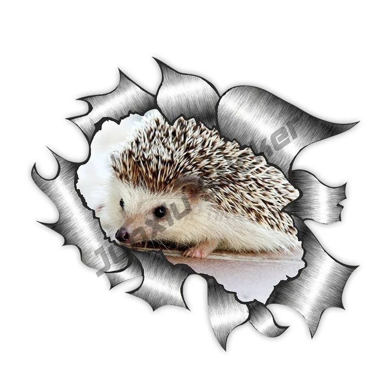 Waterproof Ripped Metal Design with Cute Hedgehog Car Sticker Accessories Car Window Decal KK13*13cm
Waterproof Ripped Metal Design with Cute Hedgehog Car Sticker Accessories Car Window Decal KK13*13cm