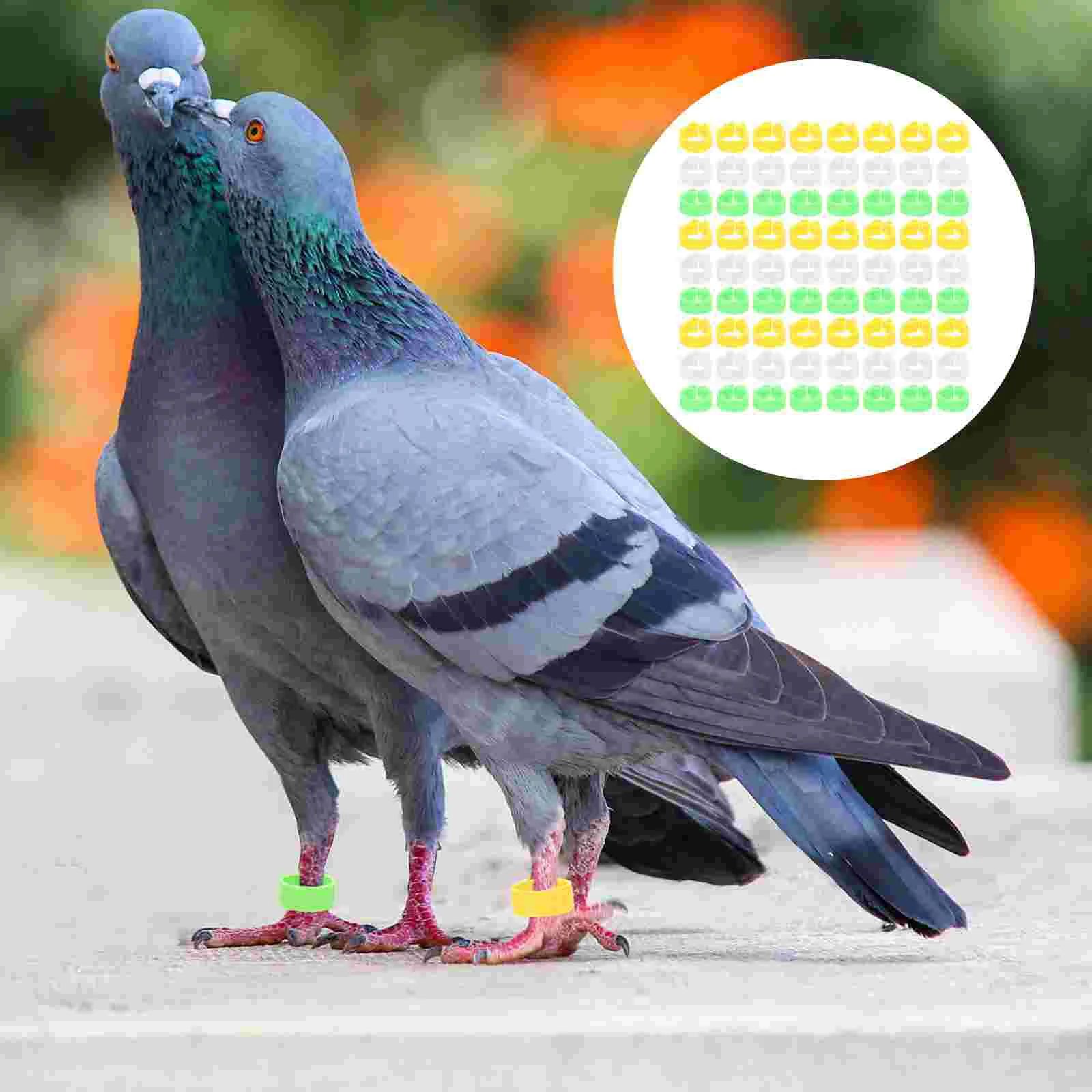 Leg Bands Foot Rings Chicken Ring Poultry Bird Clipband Pigeon Identification Parrot Birds Tags Ankle Goose Hen Rooster Id
Leg Bands Foot Rings Chicken Ring Poultry Bird Clipband Pigeon Identification Parrot Birds Tags Ankle Goose Hen Rooster Id