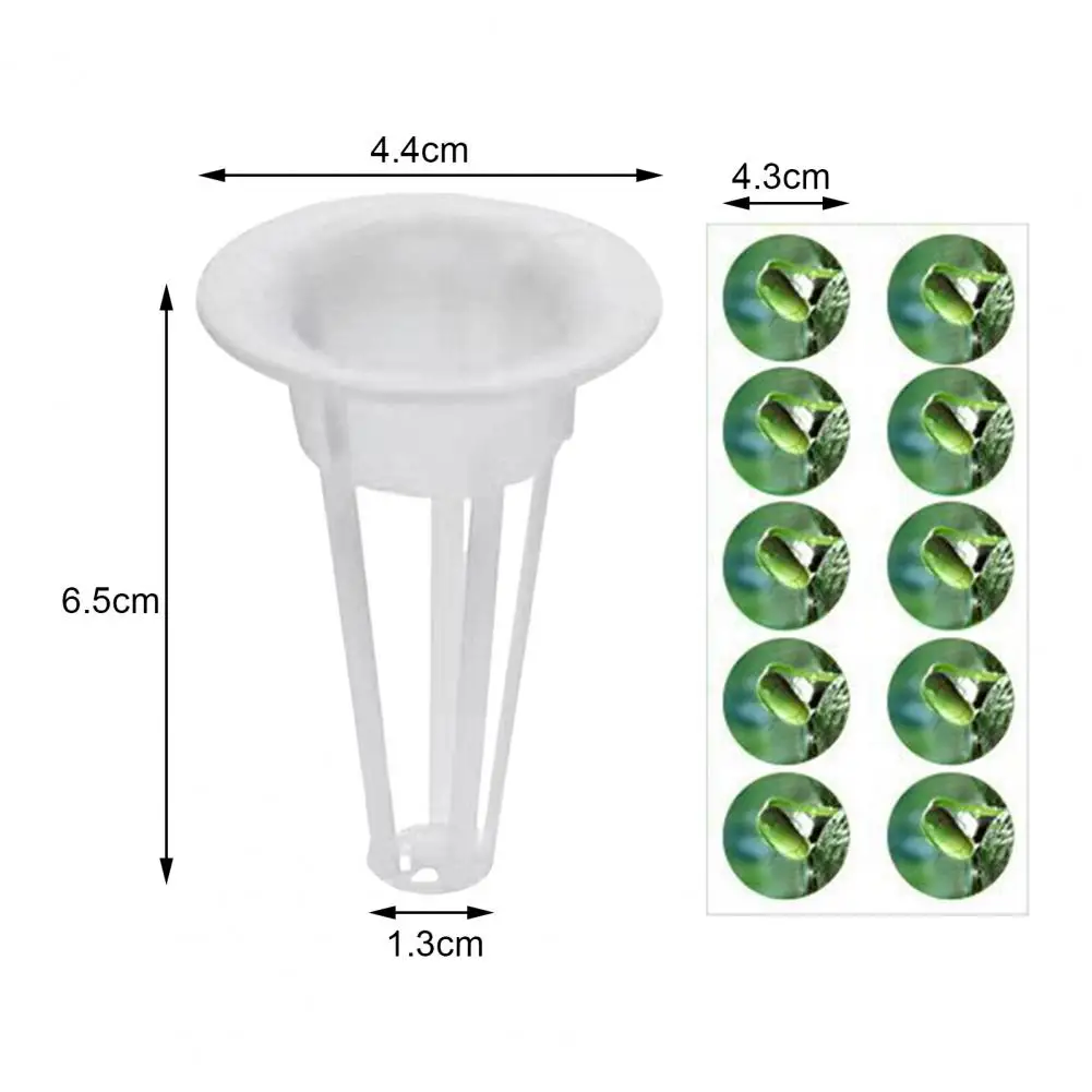 1 Set Useful Lightweight Plant Nursery Cup Wide Application Plant Grow Basket with Sponges Stickers Set Burr Free
1 Set Useful Lightweight Plant Nursery Cup Wide Application Plant Grow Basket with Sponges Stickers Set Burr Free
