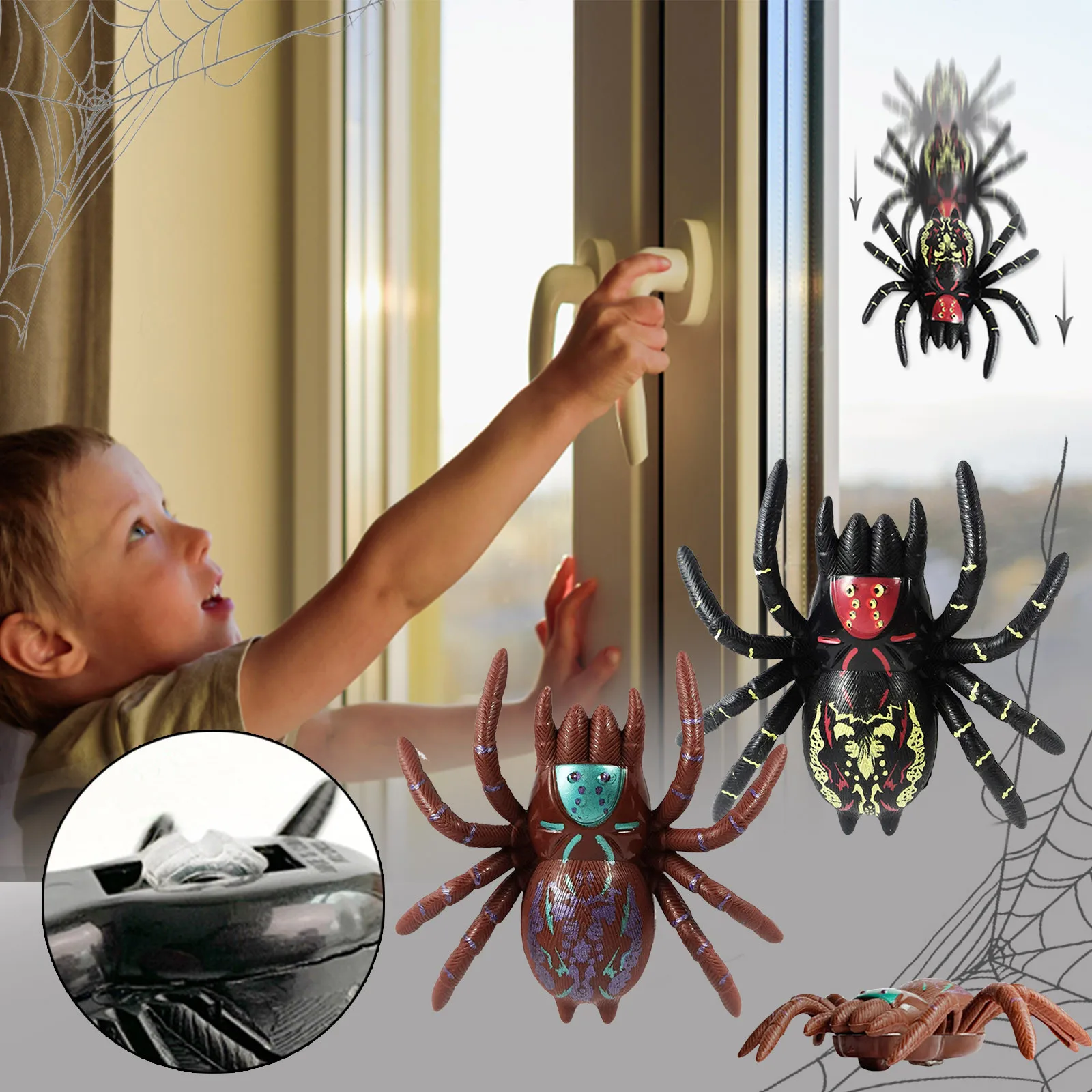 

Beehive Game Kids Wooden Window Tarantula's Or Will Any Down Crawl Favors For Party Walkers! Wall! Multiplication Power Pen