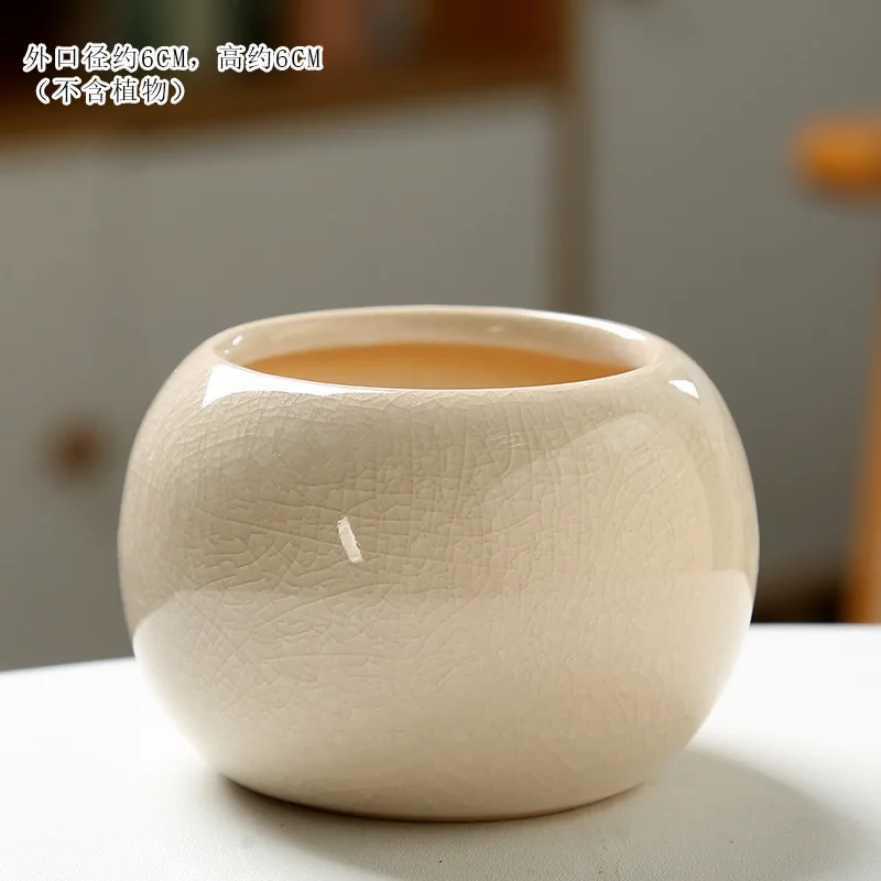 Сочный цветочный горшок с растресканием льда, маленький и милый мультяшный дизайн, простое керамическое украшение для домашнего рабочего стола, мясной цветочный горшок
Сочный цветочный горшок с растресканием льда, маленький и милый мультяшный дизайн, простое керамическое украшение для домашнего рабочего стола, мясной цветочный горшок