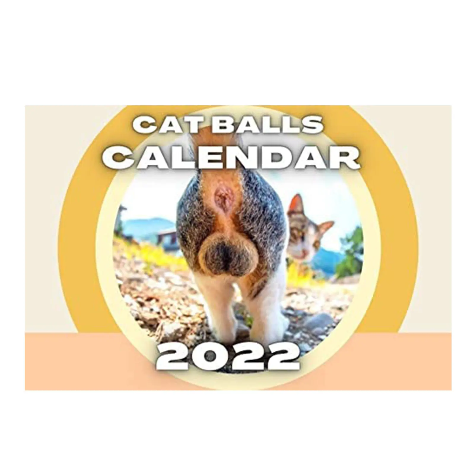 Cats Buttholes Balls Calendar New 2022 Animal Cat Calendar Home Living Room Decoration New Year Christmas Gifts 2022
Cats Buttholes Balls Calendar New 2022 Animal Cat Calendar Home Living Room Decoration New Year Christmas Gifts 2022