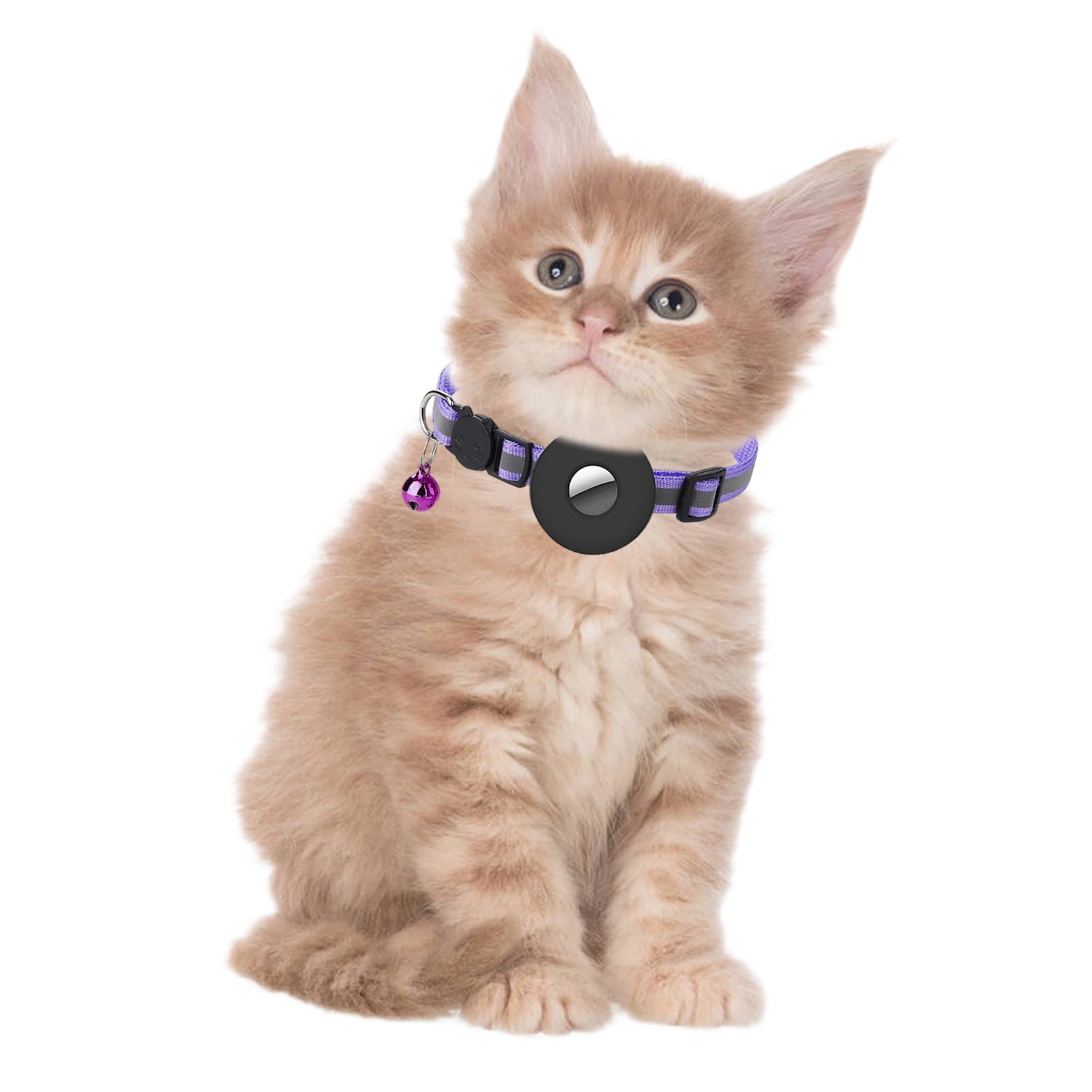 Safety Buckle Adjustable Belt ForAirtag Pet Collar Reflective Nylon Kitten Collar Anti-lost Device Accessories For Cat Dog
Safety Buckle Adjustable Belt ForAirtag Pet Collar Reflective Nylon Kitten Collar Anti-lost Device Accessories For Cat Dog