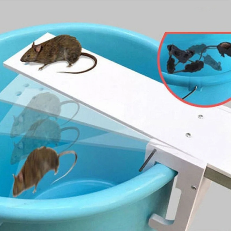

1PC New Walk The Plank Rodent Mouse Rat Trap Auto Reset Mice Catcher Tool