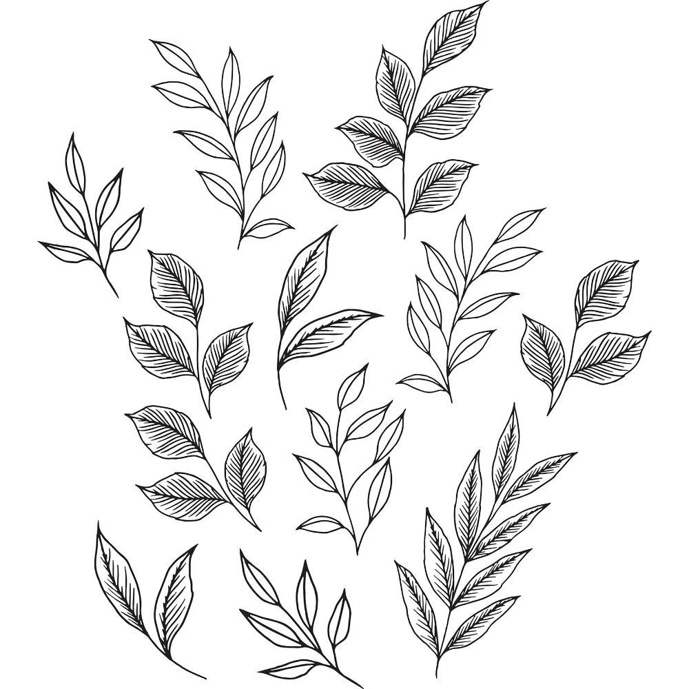 

DWPK3900 Designs Brushwood Leaves Wall Decal，34.50 x 39.00 x 0.02 Inches