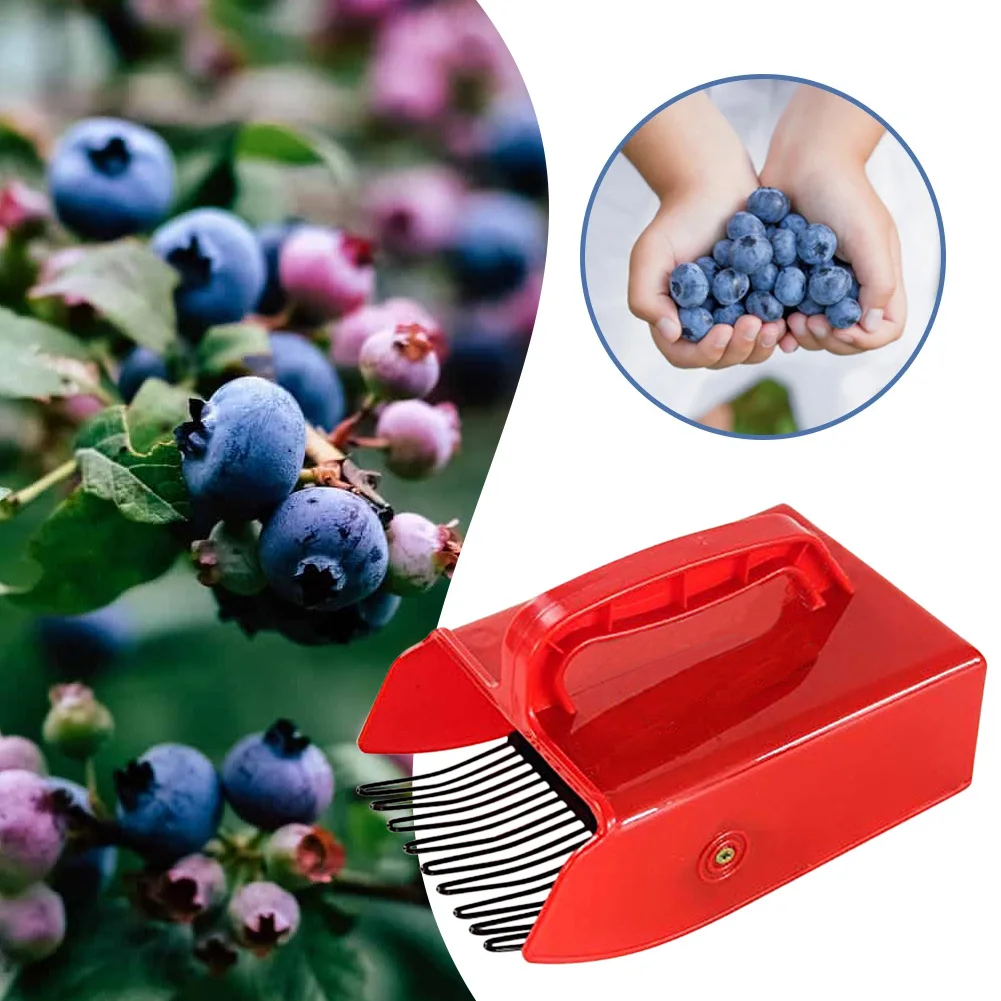 Portable Berry Pickers Metal Comb Rakes Picking Fruit Collecting Scoop Handle Blueberry Collection Harvester Picking Garden Tool
Portable Berry Pickers Metal Comb Rakes Picking Fruit Collecting Scoop Handle Blueberry Collection Harvester Picking Garden Tool