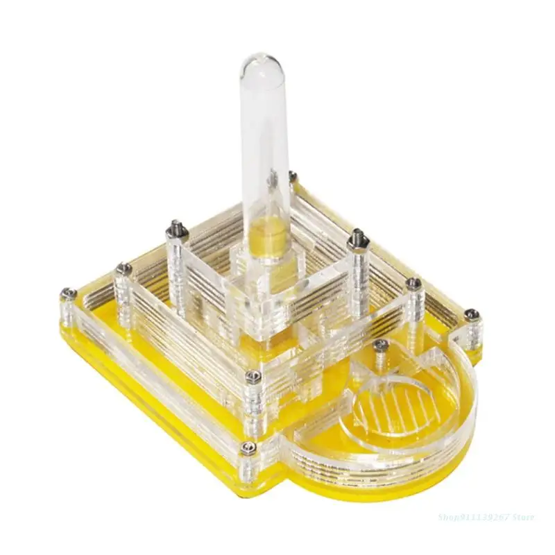 C5AD Ant Farm Nest Habitat Clear Acrylic Box with Water Tower Great Gift for Kids
C5AD Ant Farm Nest Habitat Clear Acrylic Box with Water Tower Great Gift for Kids