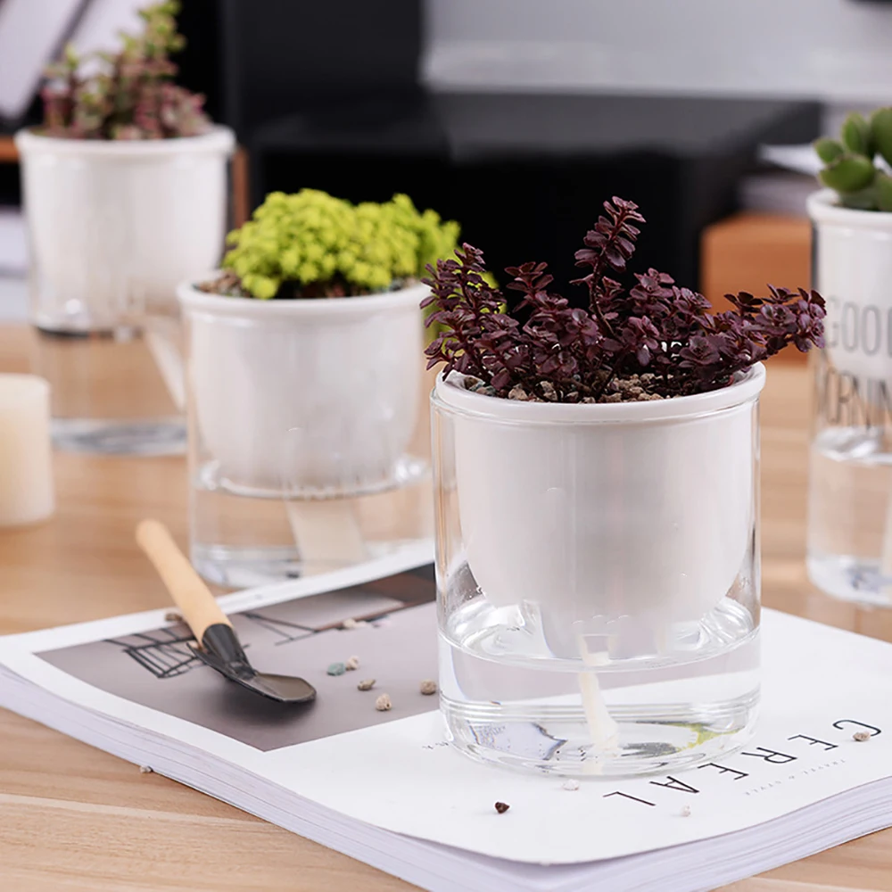 2PCS Clear Self Watering Pot Planter For Indoor And Outdoor Plants Flowers Herbs Automatic Water Absorption Transparent Round
2PCS Clear Self Watering Pot Planter For Indoor And Outdoor Plants Flowers Herbs Automatic Water Absorption Transparent Round